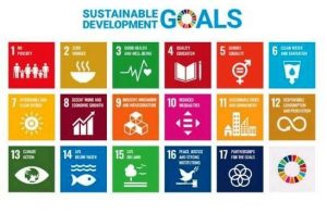 SDG pic1
